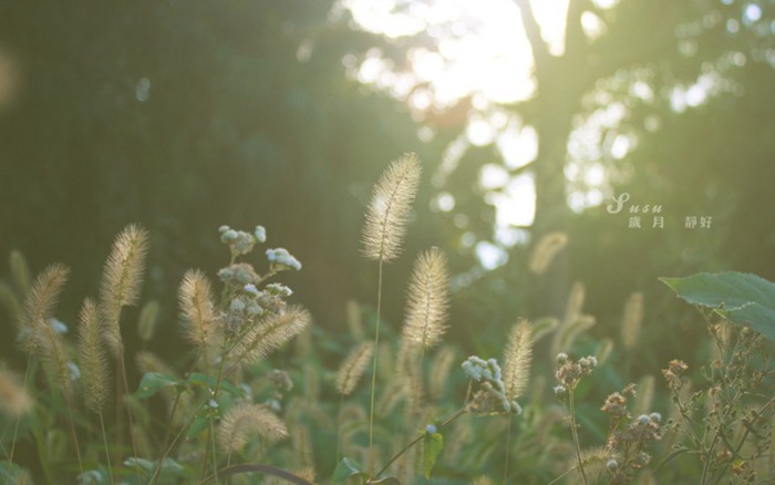 自強(qiáng)不息，不負(fù)青春，不負(fù)紫光